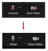 zoomtrouble2.PNG